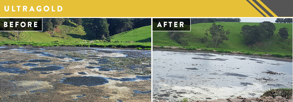 UltraGold before & after in use